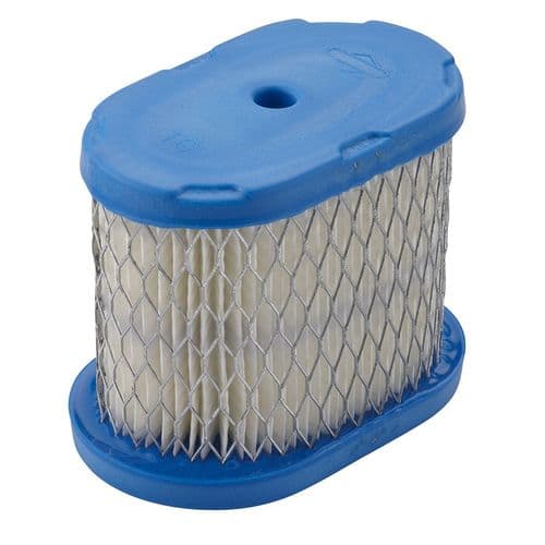 machinery-parts/pedestrian-mower-parts/pedestrian-mower-filters